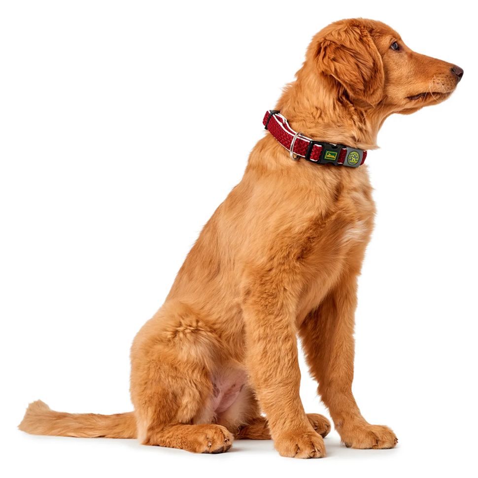 Hunter: ошейник для собак, Hilo Vario Basic 30-43 см, сетчатый текстиль, красный
