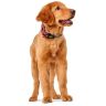 Hunter: ошейник для собак, Hilo Vario Basic 30-43 см, сетчатый текстиль, красный