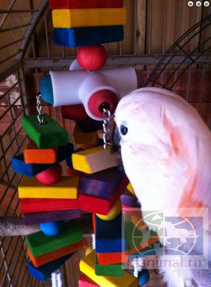 Super Bird:  Игрушка для крупных попугаев "4 Way Play"