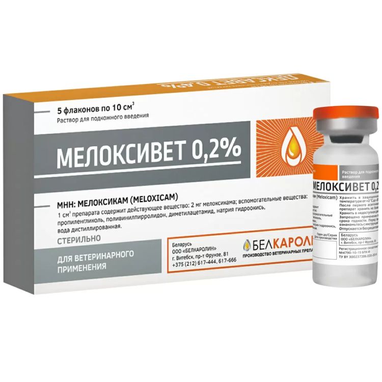 8 укромных мест Витебска: где заняться сексом, если нет своей квартиры? | Витебский Курьер