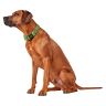Hunter: ошейник для собак, Hilo Vario Basic 30-43 см, сетчатый текстиль, лайм