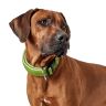Hunter: ошейник для собак, Hilo Vario Basic 30-43 см, сетчатый текстиль, лайм
