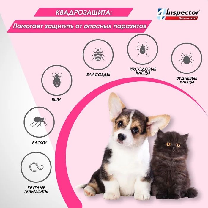 Экопром: Инспектор mini капли от паразитов для кошек и собак 0,5-2 кг, 1 пипетка