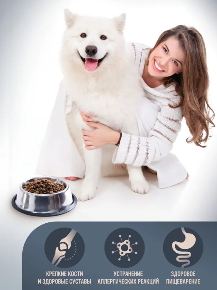 Zoogurman: Sensitive, Гипоаллергенный, Ягненок с рисом, корм для собак средних и крупных пород, 12 кг