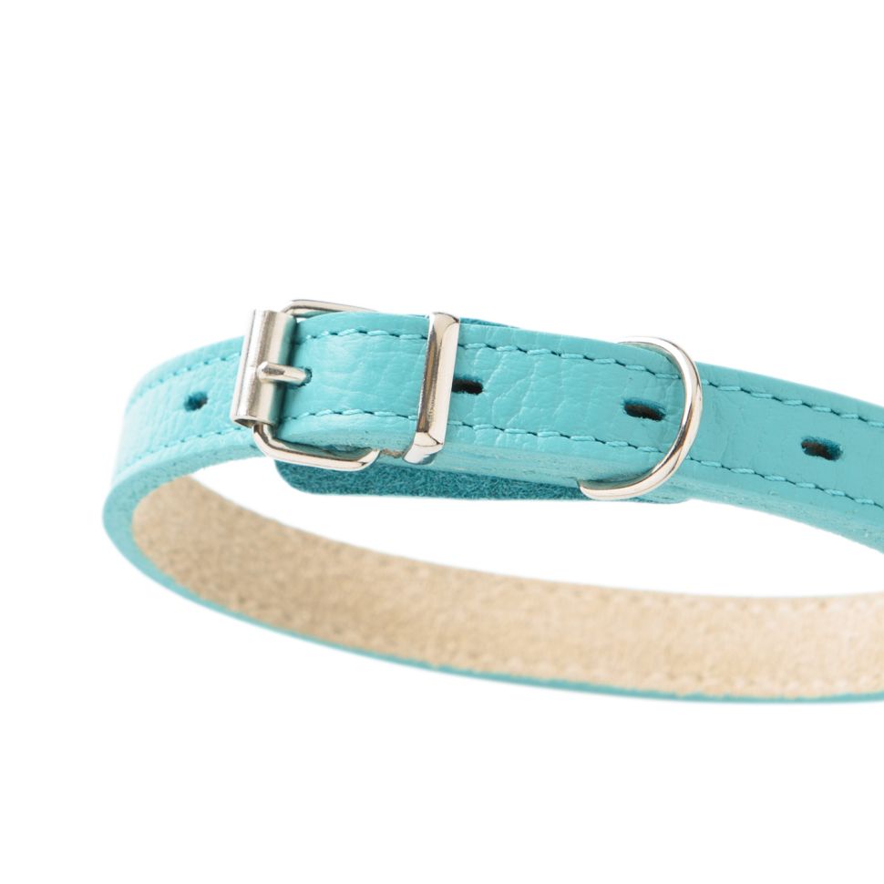 Mr.Kranch: Ошейник для собак, из натуральной кожи, прямой, бирюзовый, 39-50 см
