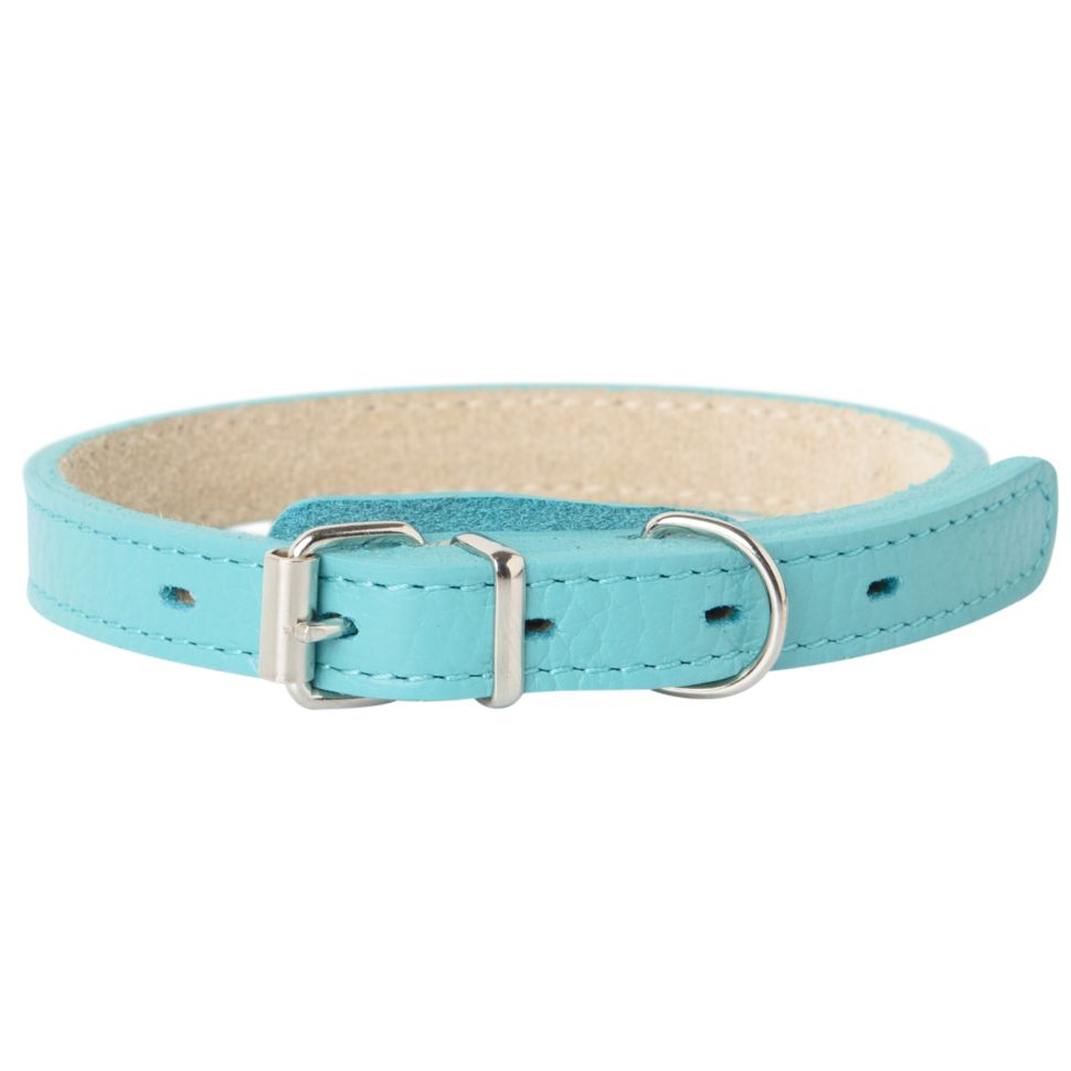 Mr.Kranch: Ошейник для собак, из натуральной кожи, прямой, бирюзовый, 39-50 см