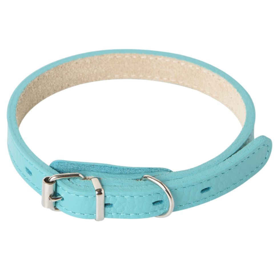 Mr.Kranch: Ошейник для собак, из натуральной кожи, прямой, бирюзовый, 39-50 см