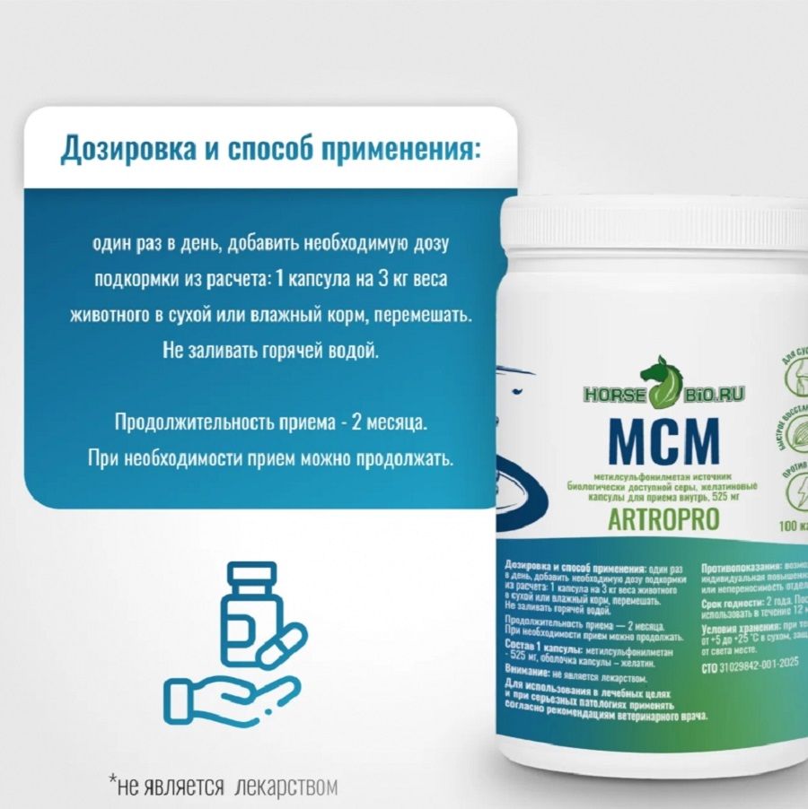 Horse-bio: Желатиновые капсулы МСМ ArtroPro для мелких собак и кошек, 525 мг, 100 шт.