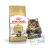 RC Полнорационный корм для кошек породы мейн-кун в возрасте старше 15 месяцев, 2 кг + паучи 4 х 85 гр. в подарок