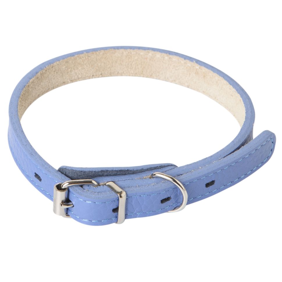 Mr.Kranch: Ошейник для собак, из натуральной кожи, прямой, васильковый, 39-50 см