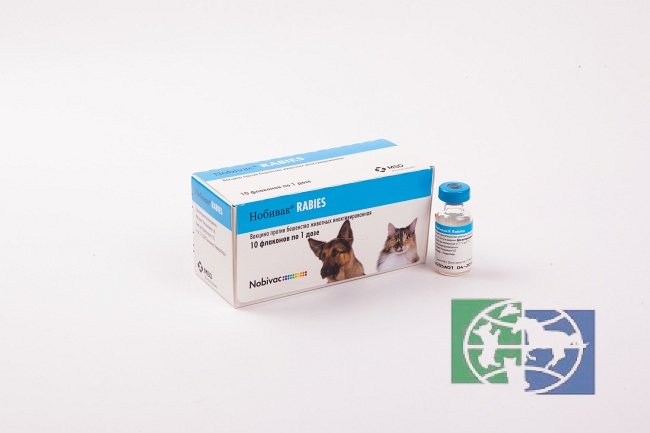 Intervet: Нобивак RABIES / NOBIVAC RABIES Инактивированная вакцина против бешенства животных, 1 доза