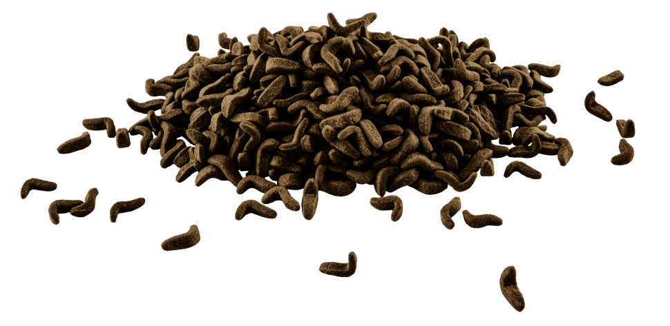 Tetra ReptoMin Sticks корм в виде палочек для водных черепах 72 гр., 250 мл, 60 гр.