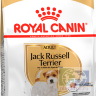 RC JACK RUSSELL ADULT Корм для собак породы джек-рассел-терьер в возрасте от 10 месяцев, 0,5 кг