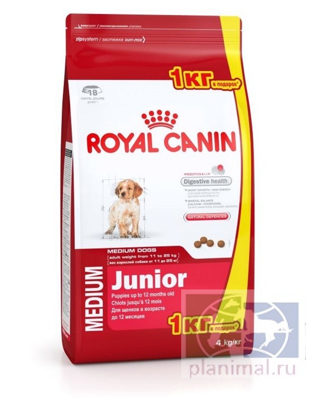 RC Medium Puppy корм для щенков собак средних размеров (весом от 10 до 25 кг) в возрасте от 2 месяцев до 12 месяцев, 3 кг + 1 кг в подарок