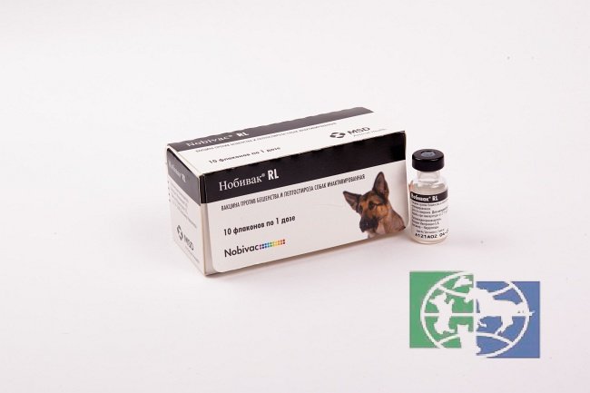 Intervet: Нобивак RL / NOBIVAC RL Инактивированная вакцина против бешенства и лептоспироза собак, 1 доза