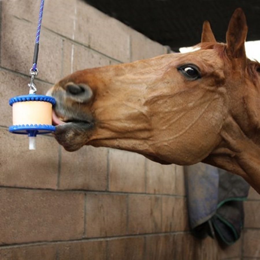 Likit: Подвесной держатель для ликита 650 гр. 