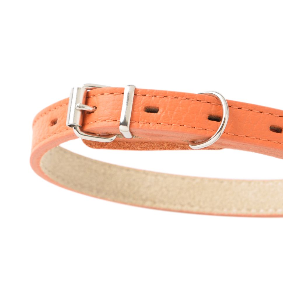 Mr.Kranch: Ошейник для собак, из натуральной кожи, прямой, оранжевый, 39-50 см