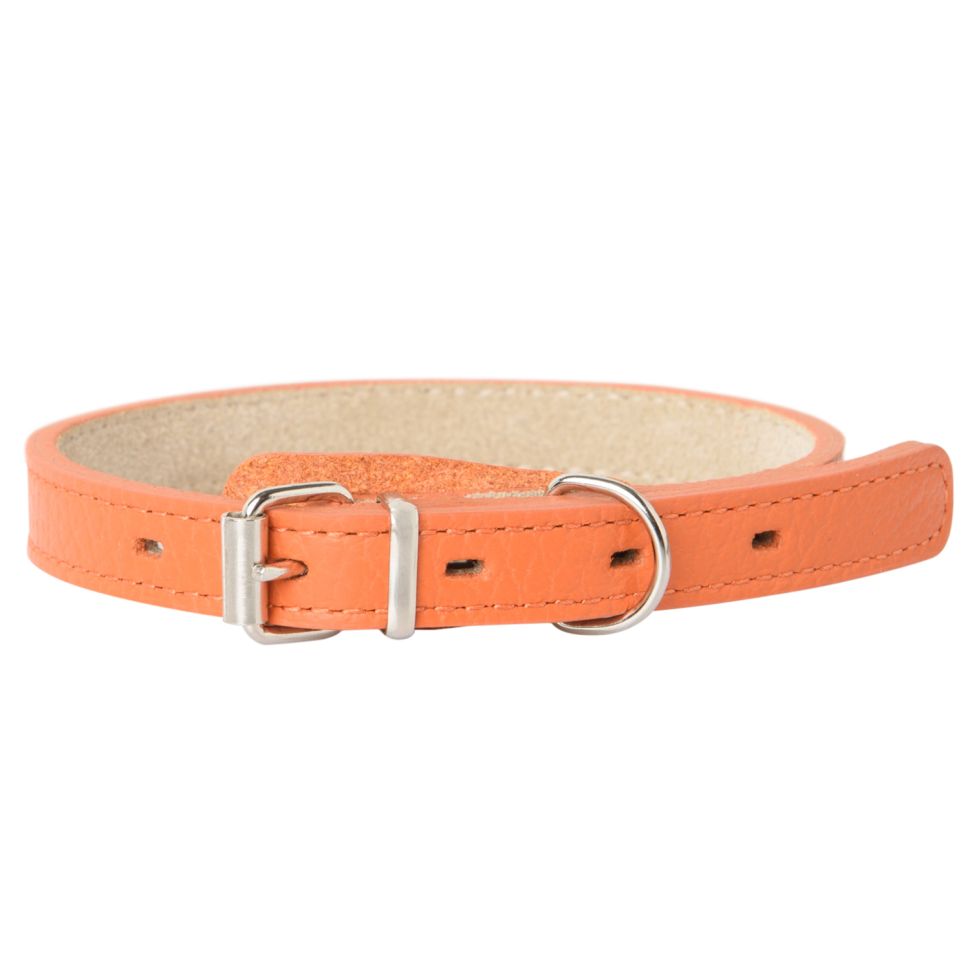 Mr.Kranch: Ошейник для собак, из натуральной кожи, прямой, оранжевый, 39-50 см