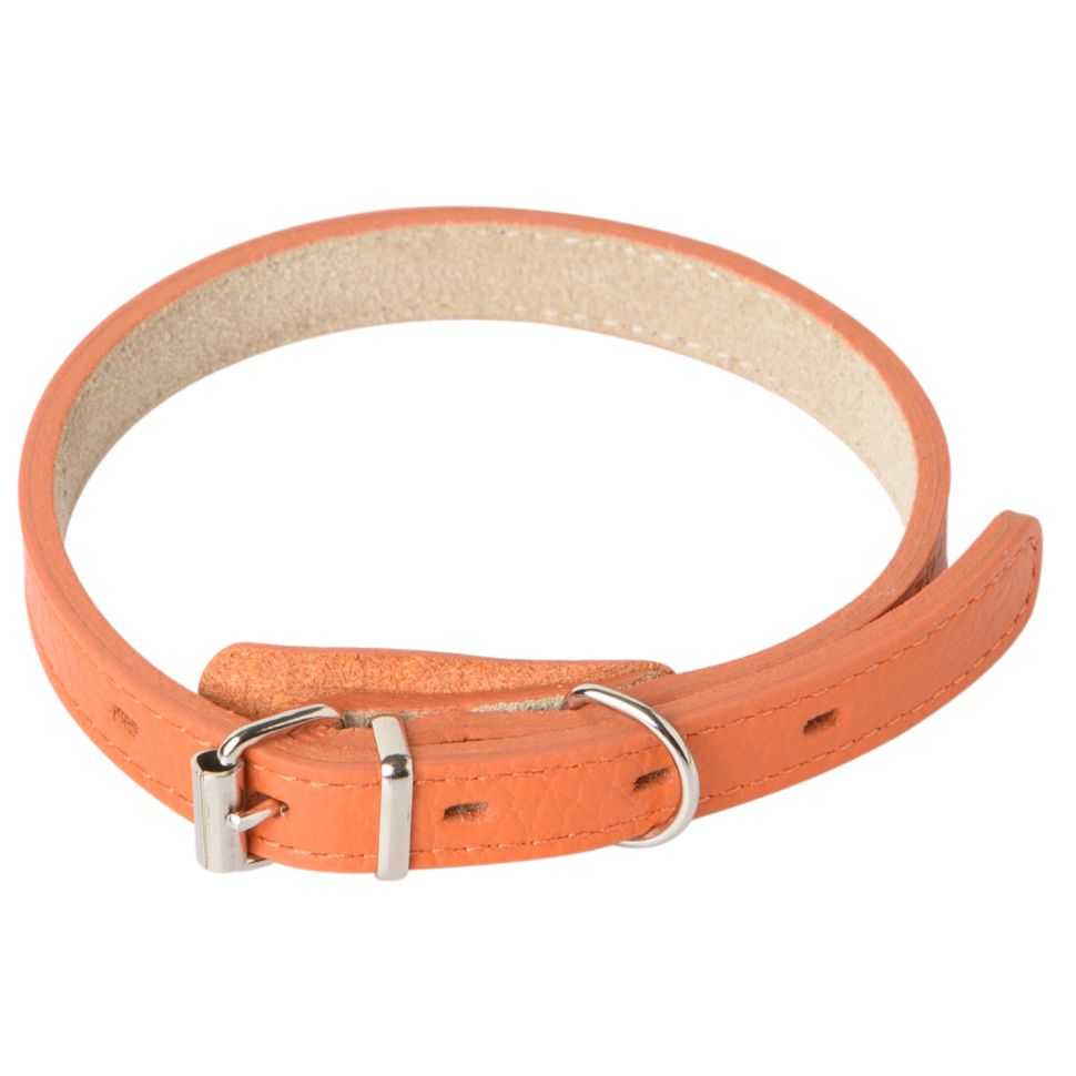 Mr.Kranch: Ошейник для собак, из натуральной кожи, прямой, оранжевый, 39-50 см