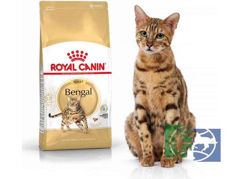 RC Bengal Adult сух. корм д/бенгальских кошек старше 12 мес., 2 кг