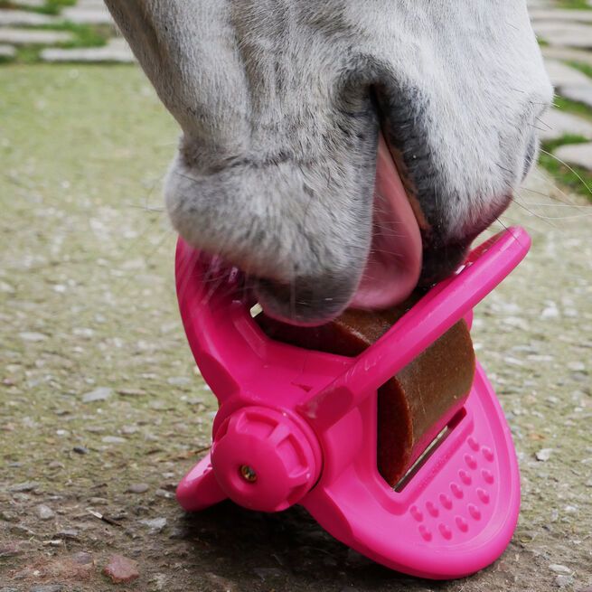 Likit: Игрушка BIZZY HORSE для лошадей розовый/синий в ассортименте