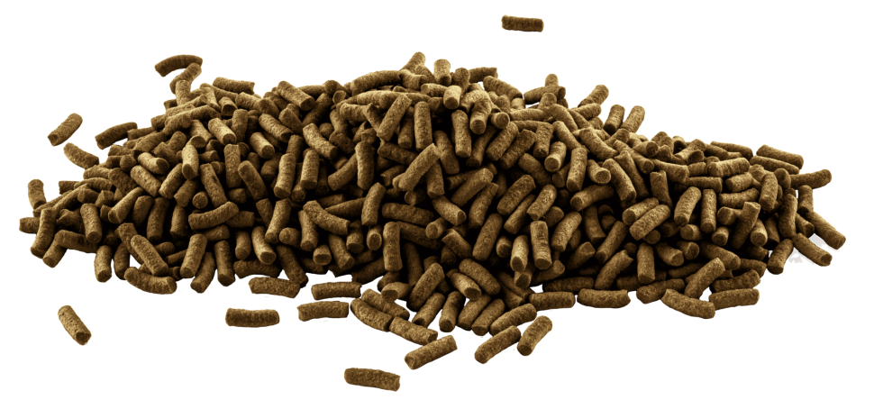 Tetra ReptoMin Junior  корм в виде палочек для молодых водных черепах 250 мл