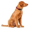 Hunter: ошейник для собак, Hilo Vario Basic 45-70 см, сетчатый текстиль, красный