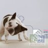 Advance диета для собак при дерматозах и аллергии Atopic, 12 кг