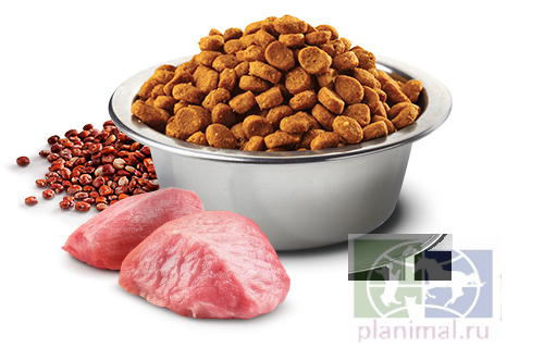 Farmina N&D Cat Quinoa Digestion Lamb Ягненок, киноа, беззерновой корм для кошек, для поддержки пищеварения, 0,3 кг