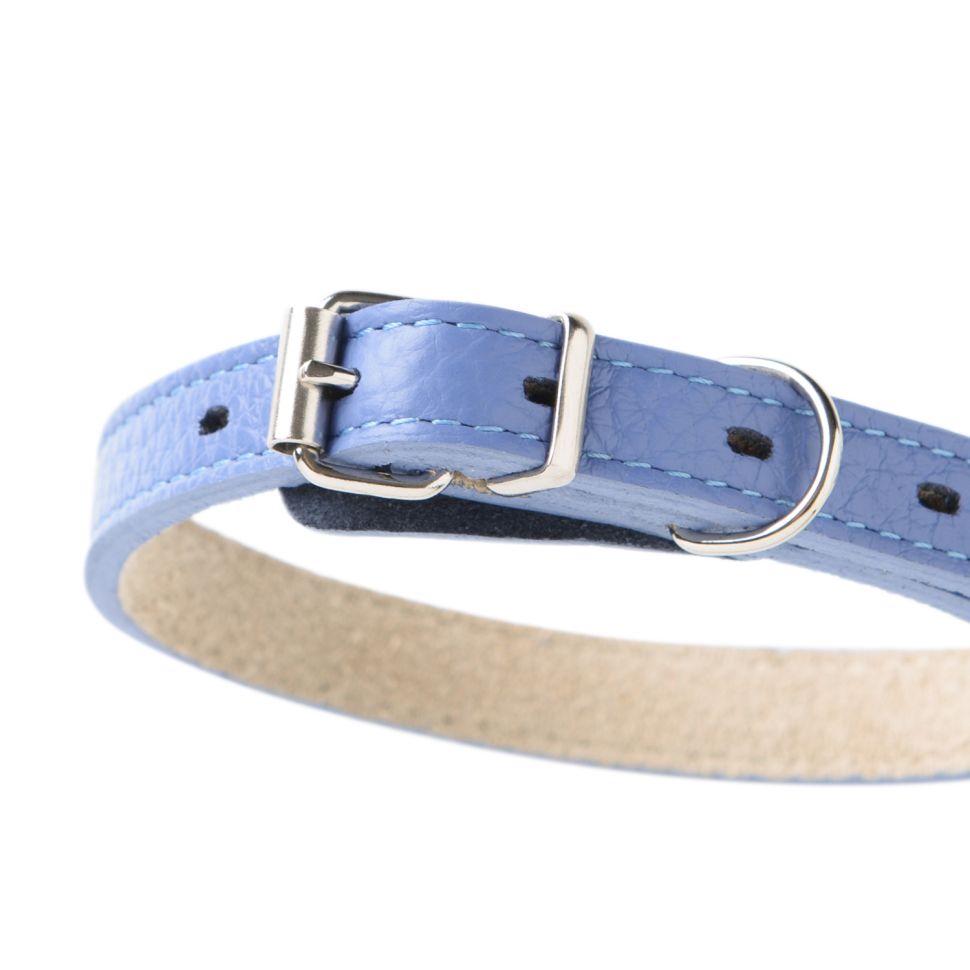 Mr.Kranch: Ошейник для собак, из натуральной кожи, прямой, васильковый, 48-60 см
