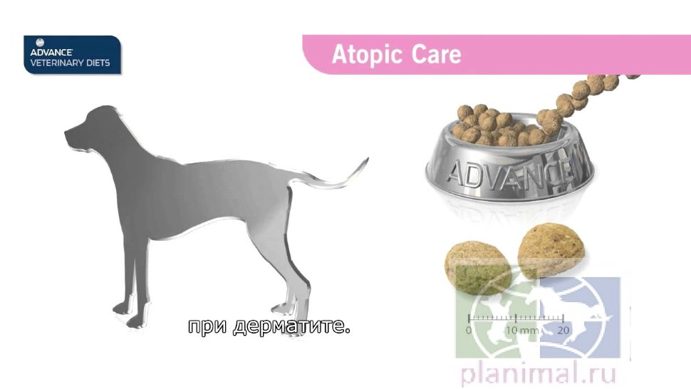 Advance диета для собак при дерматозах и аллергии Atopic Medium-Maxi с лососем, 3 кг