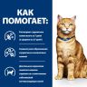 Hill's: Cat Prescription Diet c/d Multicare Urinary Care, сухой корм, при профилактике мочекаменной болезни, для кошек, 1,5 кг