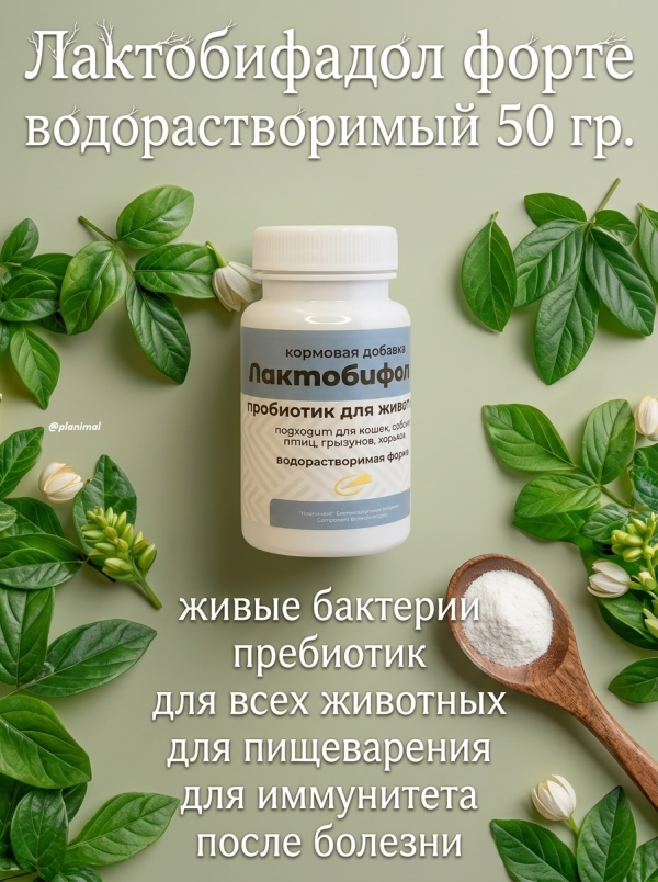 Компонент: Лактобифадол форте водорастворимый для птиц, кошек, собак, грызунов, хорьков, 50 гр.