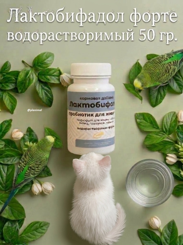 Компонент: Лактобифадол форте водорастворимый для птиц, кошек, собак, грызунов, хорьков, 50 гр.
