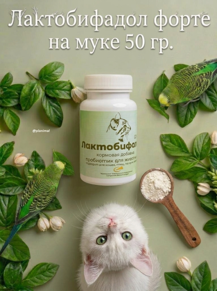 Компонент: Лактобифадол форте на муке для кошек, птиц, грызунов и хорьков, 50 гр.