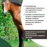 Be:Natu Metamix низкокалорийный корм при нарушениях метаболизма, ламините для лошадей 20 кг