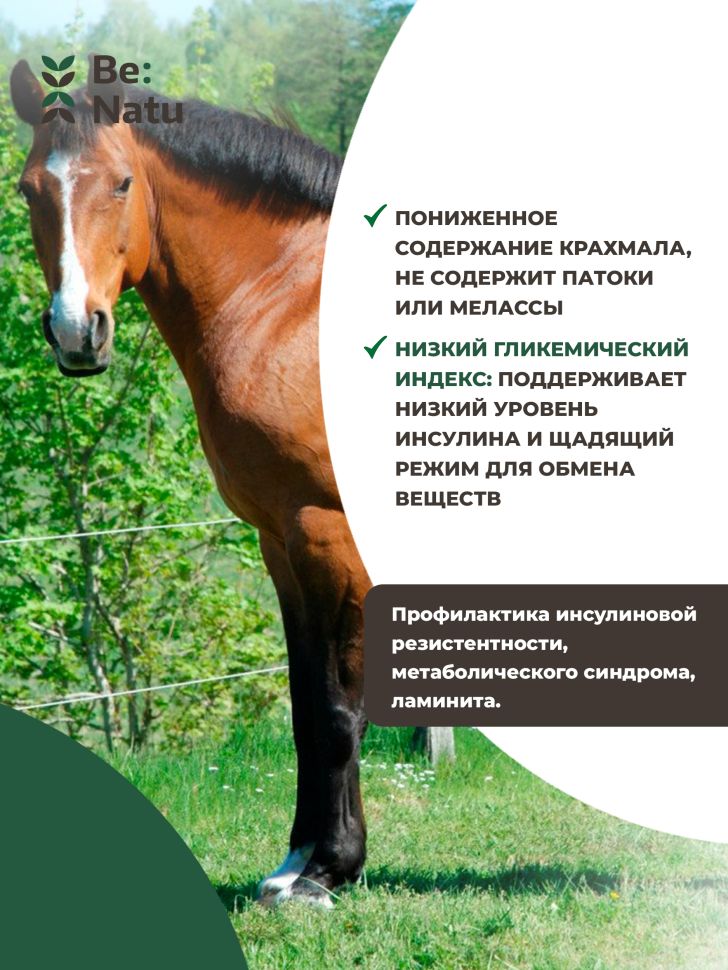 Be:Natu Metamix низкокалорийный корм при нарушениях метаболизма, ламинитедля лошадей 20 кг купить по цене 3 355 руб.