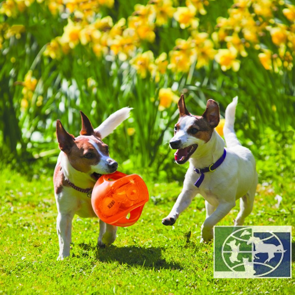 KONG игрушка для собак Джумблер Мячик 14 см средние и крупные породы, синтетическая резина, цвета в 