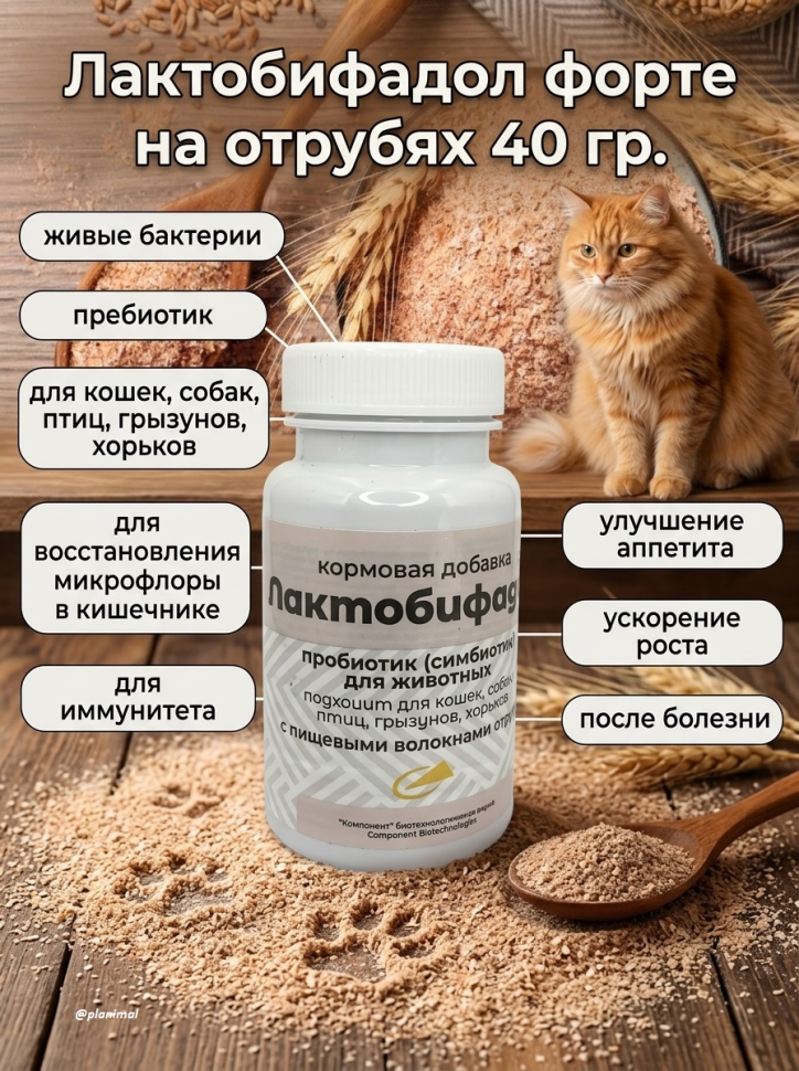 Компонент: Лактобифадол форте на отрубях для кошек, собак, грызунов, 40 гр.