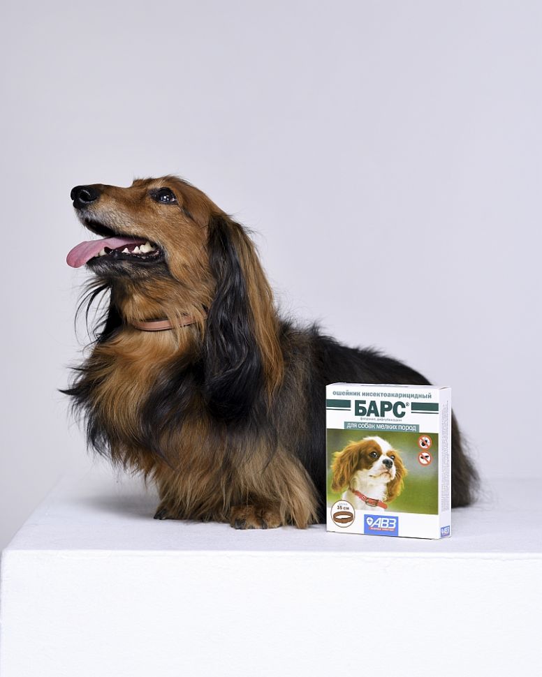 АВЗ: Барс ошейник от блох д/мелких собак (5мес), 35 см