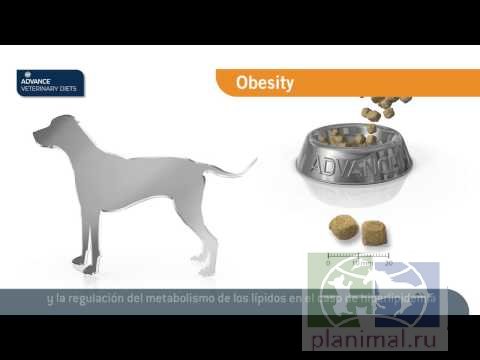 Advance диета для собак при ожирении Weight Balance, 3 кг