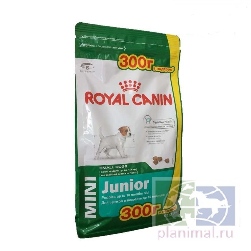 RC Mini Adult корм для взрослых собак мелких размеров (вес взрослой собаки от 4 до 10 кг) в возрасте с 10 месяцев до 8 лет, 0,5 кг + 0,3 кг в подарок