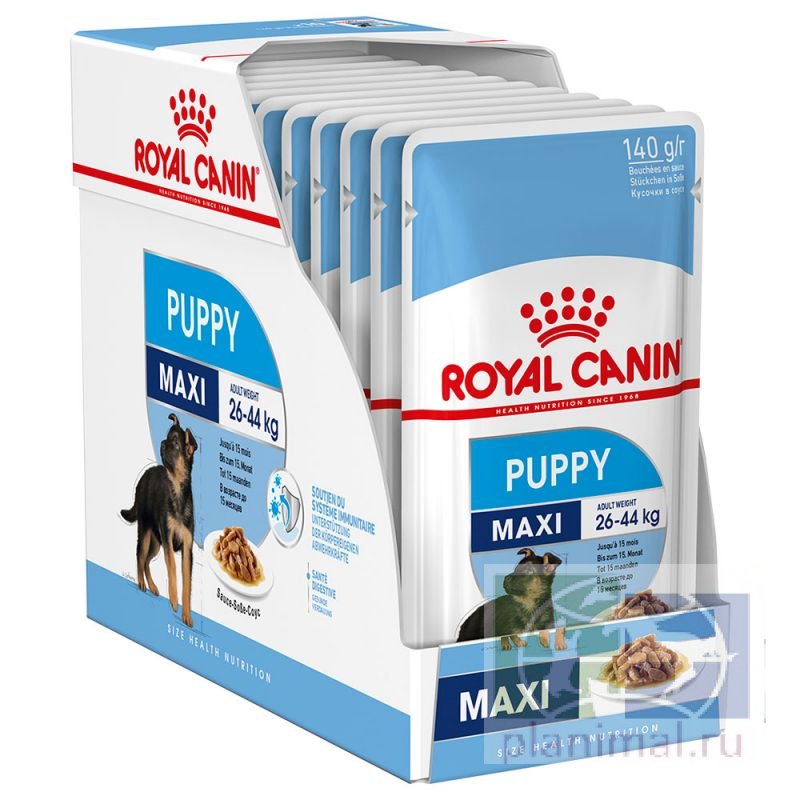Royal Canin Maxi Puppy кусочки в соусе для щенков крупных пород собак до 15 мес., 140 гр.