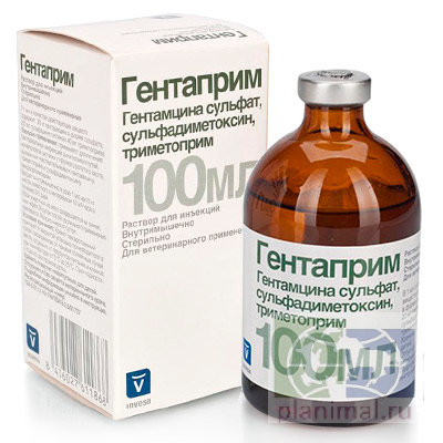 Invesa: Гентаприм, антибактериальный препарат, 100 мл