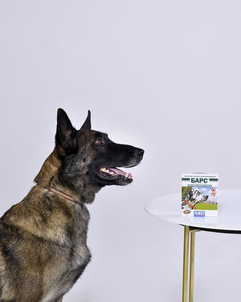 АВЗ: Барс ошейник от блох д/средних собак (5 мес), 50 см