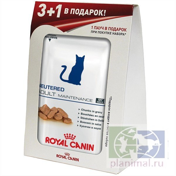 RC Neutered Adult Maintenance корм для кастрированных и стерилизованных кошек до 7 лет, 0,1 кг, набор 3 + 1 в подарок