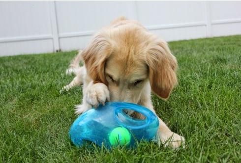 KONG игрушка для собак Джумблер Регби L/XL 23 см синтетическая резина, цвета в ассортименте