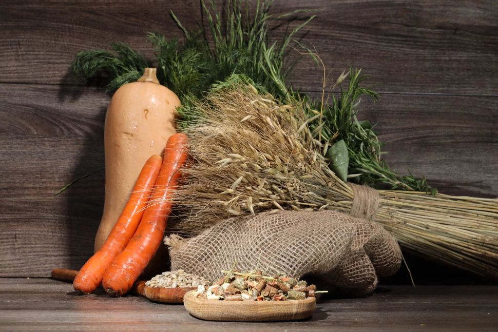 Be:Natu Junior mix корм для жеребят с 9 мес. для роста и развития, 20 кг