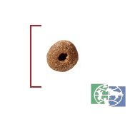 купить RC Fit  корм для взрослых кошек в возрасте от 1 до 7 лет