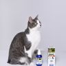 АВЗ: Барс Форте, спрей инсектоакарицидный, для кошек, 100 мл